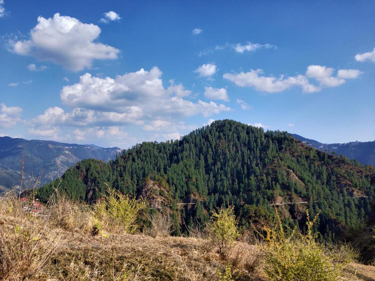 Neha Homestay Шимла Экстерьер фото