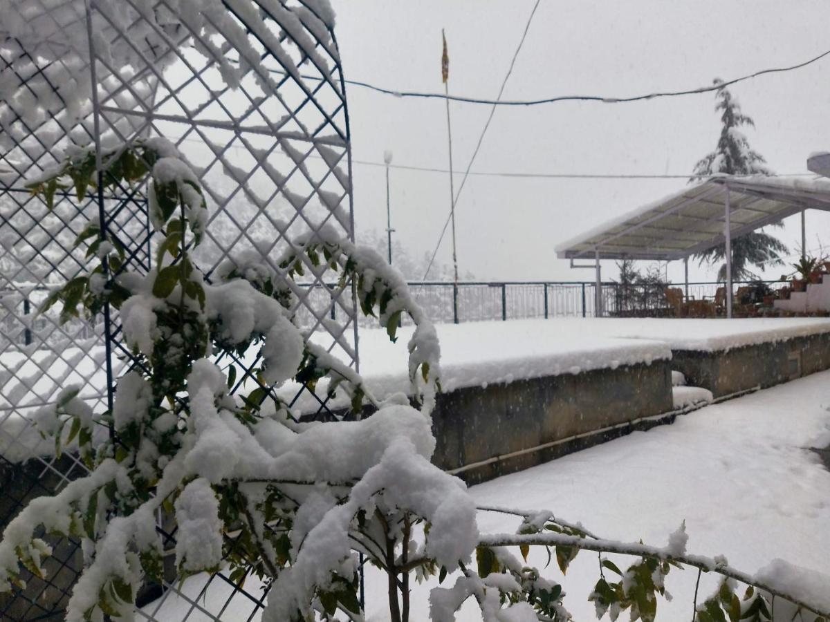 Neha Homestay Шимла Экстерьер фото