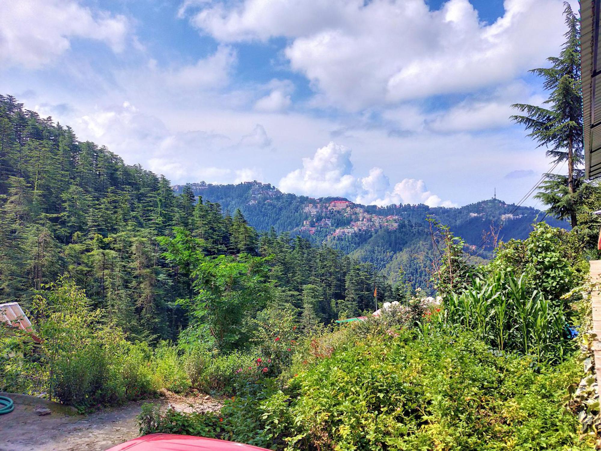 Neha Homestay Шимла Экстерьер фото