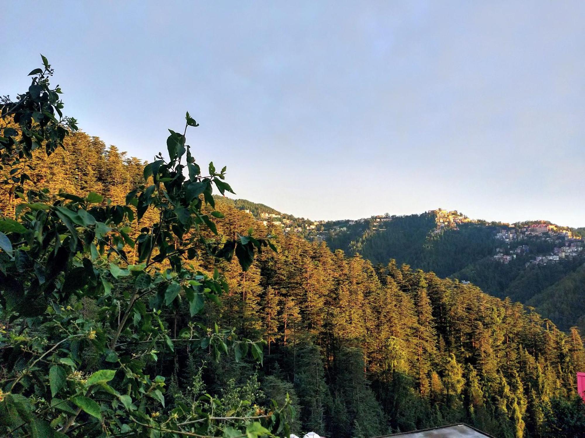 Neha Homestay Шимла Экстерьер фото